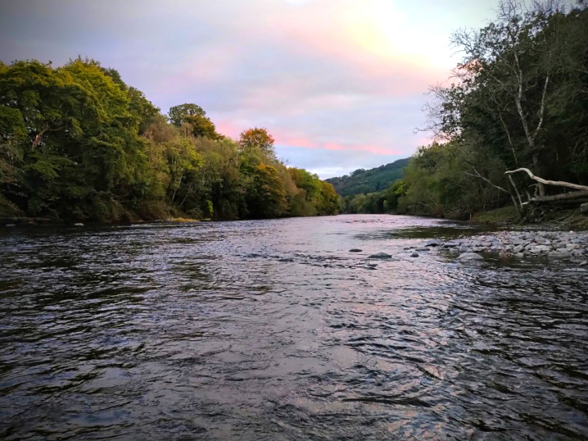 Lower Llanstephan - JM from Bristol
